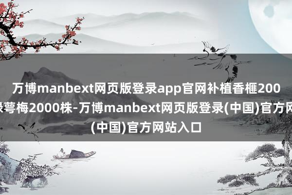 万博manbext网页版登录app官网补植香榧2000株、绿萼梅2000株-万博manbext网页版登录(中国)官方网站入口