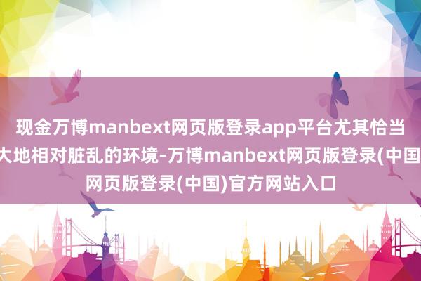 现金万博manbext网页版登录app平台尤其恰当有宠物家庭或大地相对脏乱的环境-万博manbext网页版登录(中国)官方网站入口